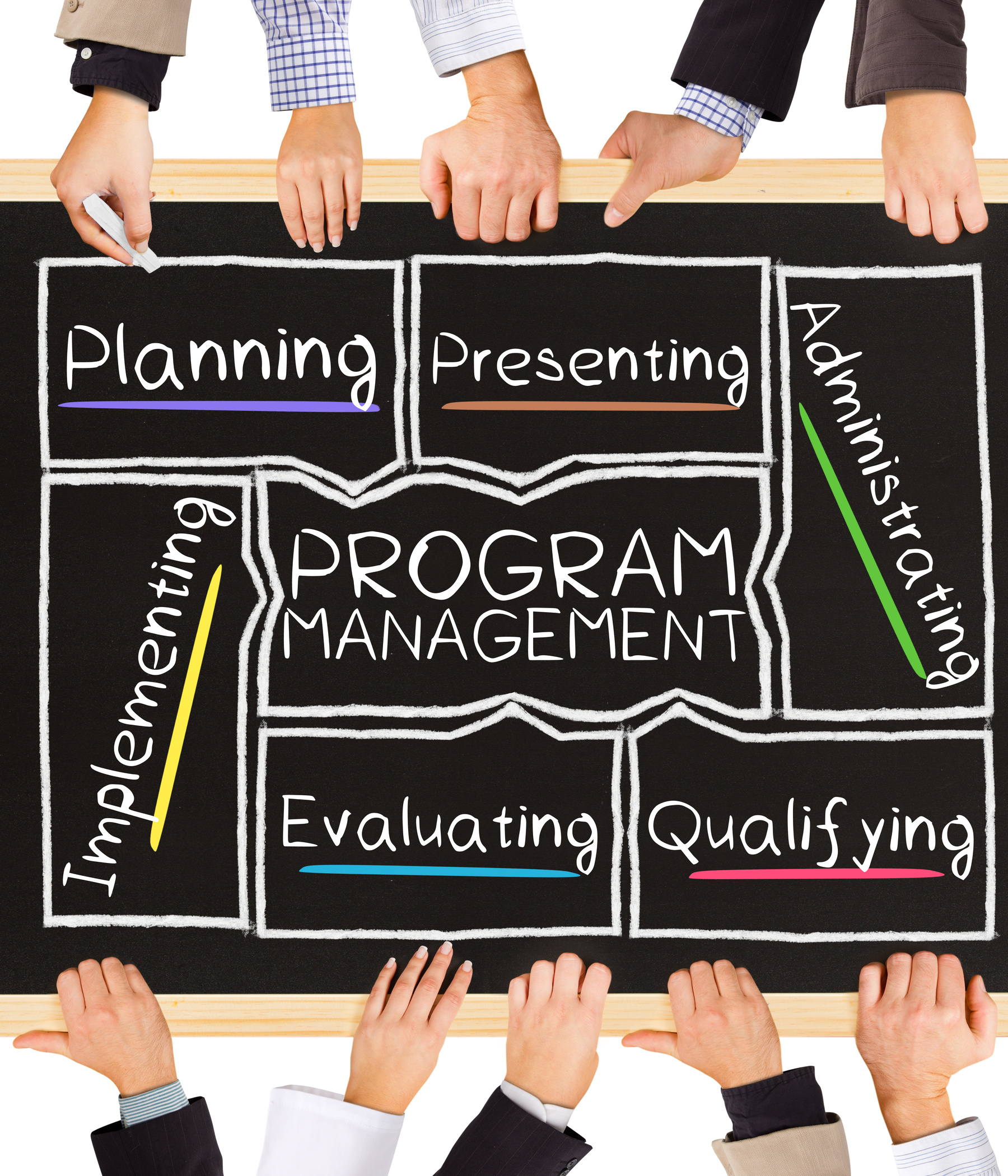 PROGRAM MANAGEMENT concept words